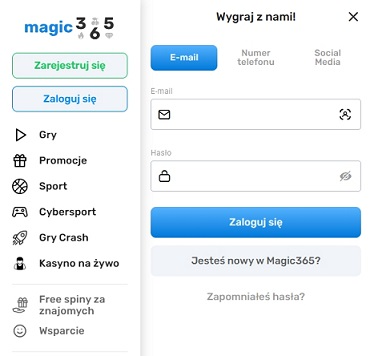 formularz-wejściowy-1